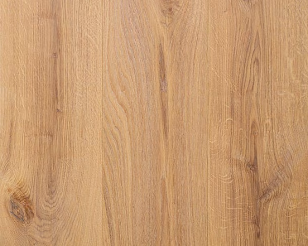 Birch Engineered Floor 